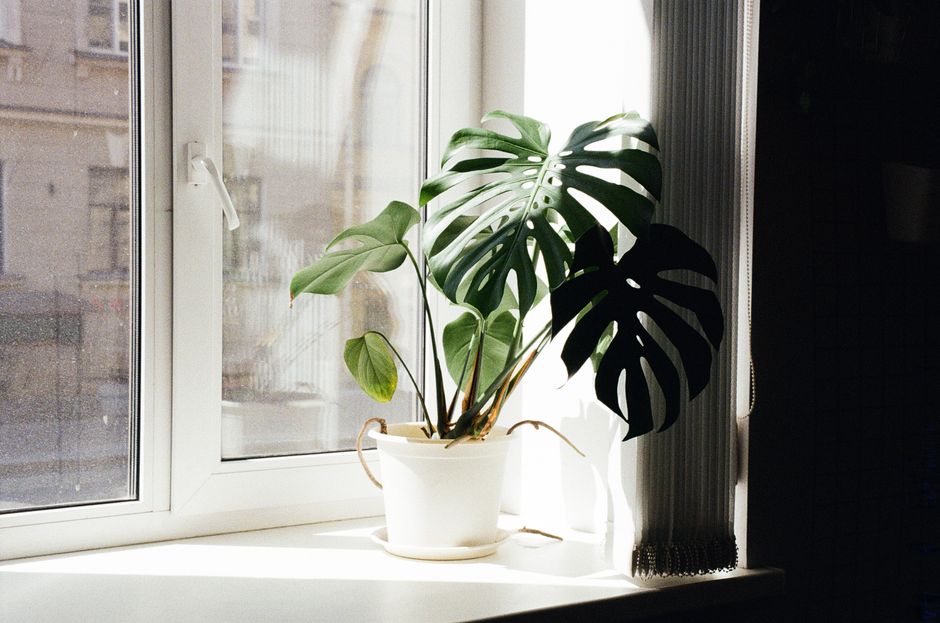 best air purifiers for home in india — product review