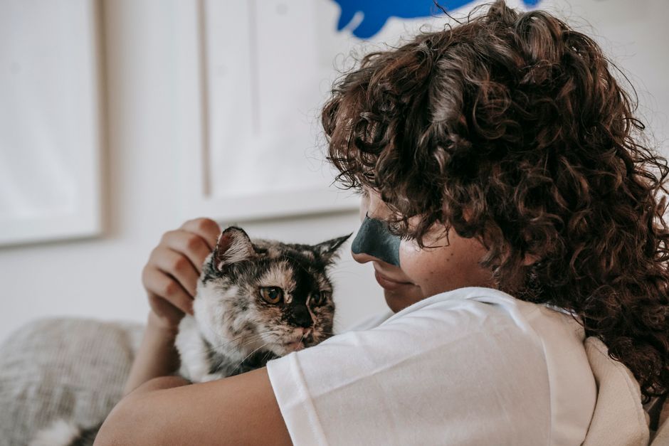best air purifiers for home with cats — product review