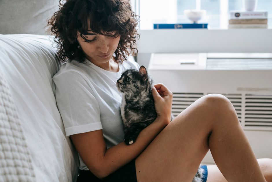 best air purifiers for pet hair — product review
