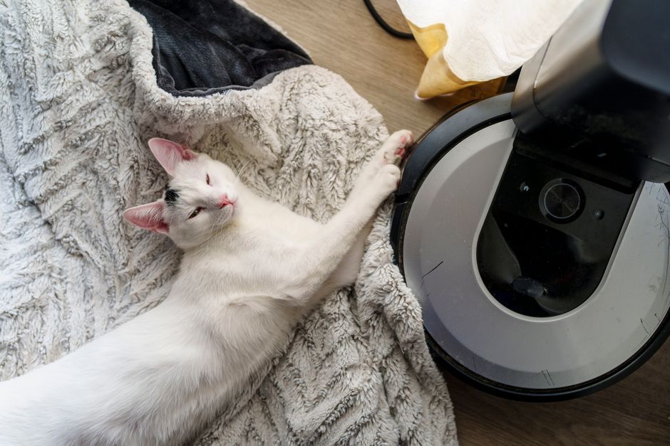 best robot vacuum for pet hair uk — product review